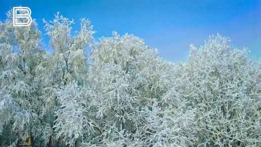 По данным гидрометцентра, в регионе ожидается переменная облачность