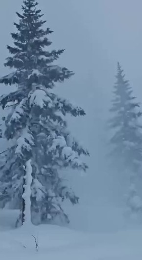 � ���������� ������� ��������� ������ ���� � ���������� �����