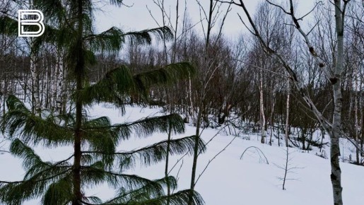 �� ������ ����������� ��������������, 23 ������ � �������� ��������� ��������� �������� � ������������ ������