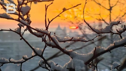 �� ������ ����������� ��������������, 24 ������ � �������� ��������� ��������� �������� � ������������ ������