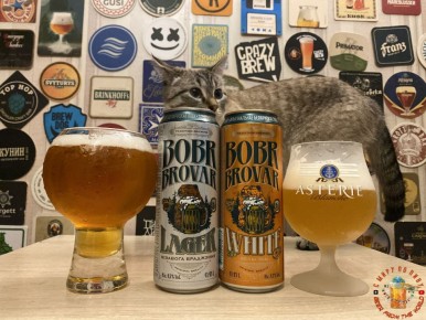 ����������� ����: ��� ��� ���������� ���� ������ �� ��������?