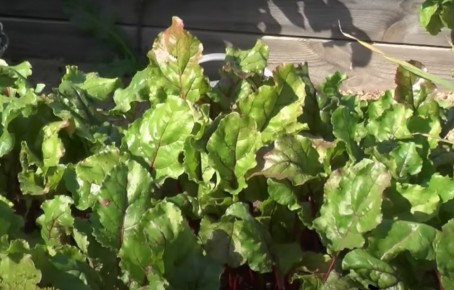 ������� ������ � ��������� �����: ��� ����� ����� ���������