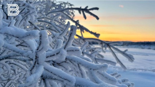 � ����������� ������ �� �������� ����������� ����� ���������� ������