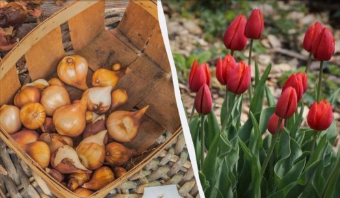 ����� ������ �������� ������: ������� �������� �������