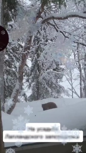 ����������, ���������!. � ����������� ������� ������������ ����������� ������� ������ � ���������� ������ � ������� � ������� �������