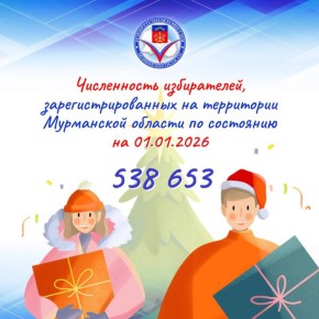 Численность избирателей, зарегистрированных на территории Мурманской области по состоянию на 1 января 2026 года, составила 538 653 человека