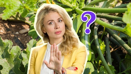 ������� ������ ��������� �� ���������: ��� �������� ��� ��� ������� ���