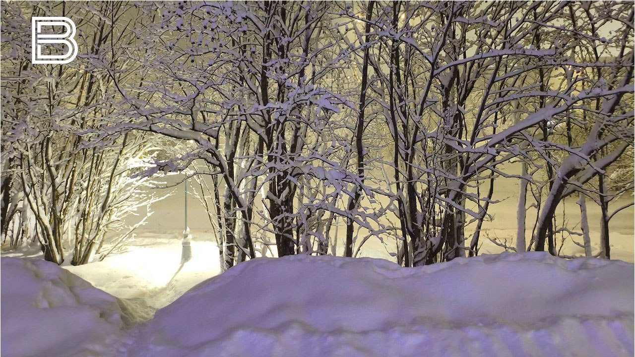 В Кольском Заполярье в четверг, 29 января, ожидается переменная облачность, снег, туман, изморозь