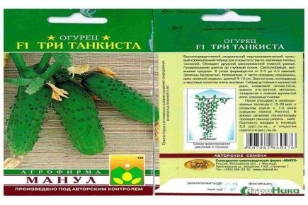 ������ ������ ���� �������� ������� ��������: ������� ������ � ������� �����