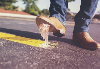 ��� ����� �� ��������� ��������� ������ ������ � ������: 100% ������� �����