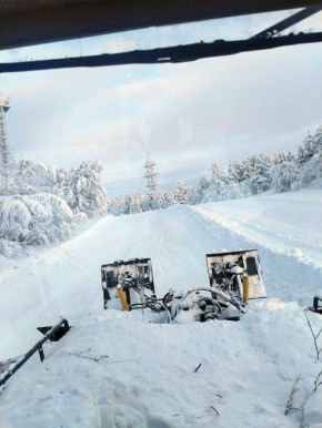 � ������ ���� ������ �������� ������ � ������� ��������