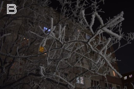 �� ������ ����������� ��������������, 31 ������ � �������� ��������� ��������� �������� � ������������ ������