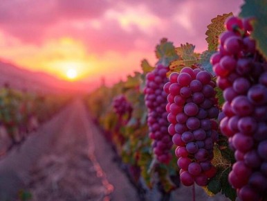 ��� ��������� �������� � ������ �����: ������ ��� ���������