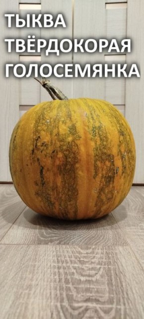 ����� ����� '�����������': ������� ��������� �����������