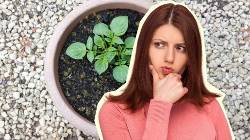 ������ �� ������ ���������� ������: ��� ��� ����� ���������� ������ ����� �� �����