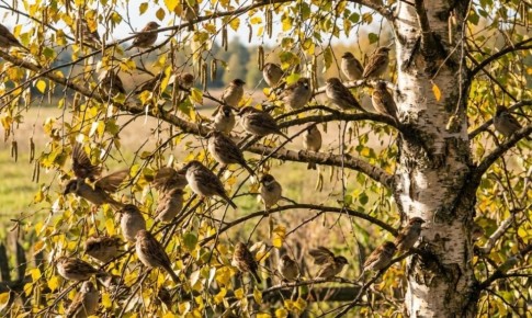 ������� �� ����: ����� ��� ������ ��� ������ ������?