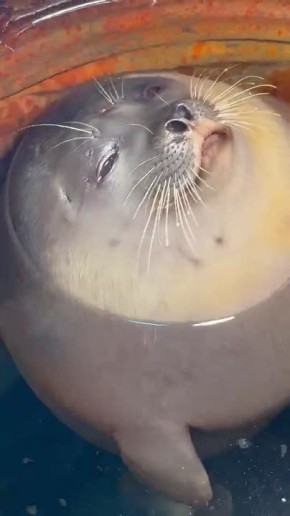 ������ ����, ���������!. �� ����� �� ������� ��������� ���� ���������� ��������� ������ � ��������� ����� �� ����� ���������