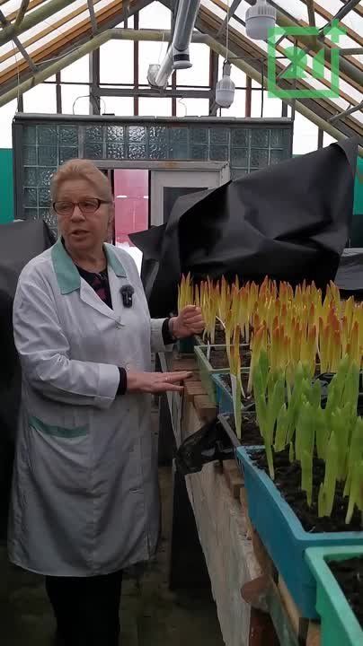 ��� � �������� ������� �������� � �����?