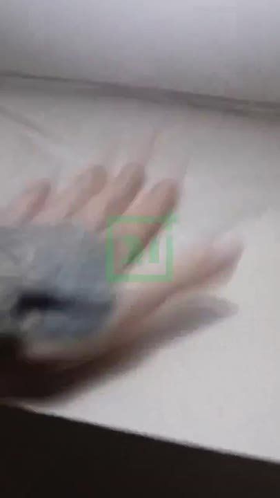 � ��������� ����� ������� � ���������� �������� ��������