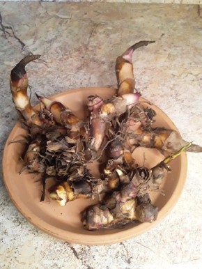 ��� ��������� ����� � �������� ������������� ������������