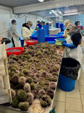 ��� � ��������� �������� ���� �������� ���?