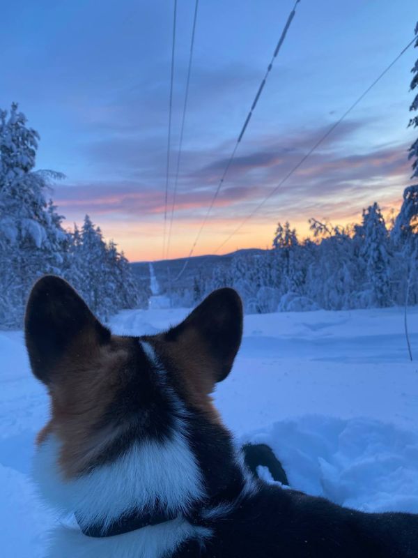 ������ �������� � ���������� �������