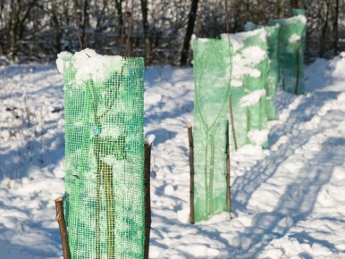 ����� �������� ������� ������� ��������: ������ ��� ���������