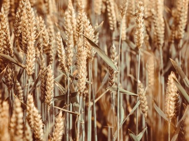 ������ ����� � ���� ���� ������� �������