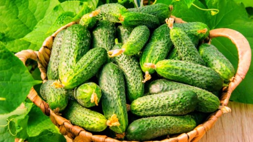 ���������� ����� �������, ��������� ������� ����������� �����