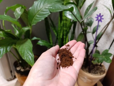 �������� ����: ������ �������� ����� ��������