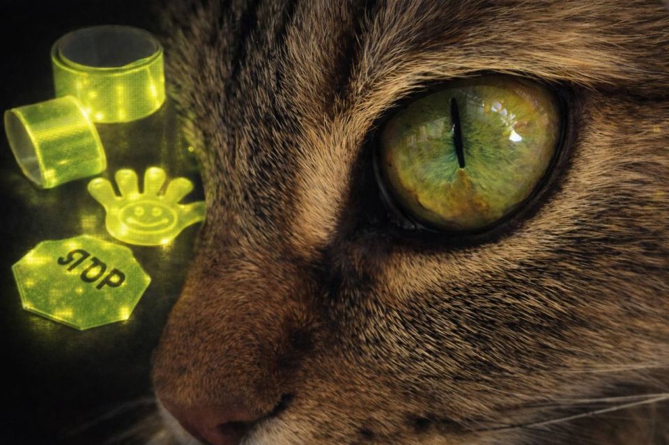 �� ���� � ������������: ������� �������� ����������������� ���������