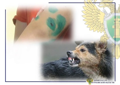 ����������� �������� ����� ������: ��� ������� ����������� �� ���� ������