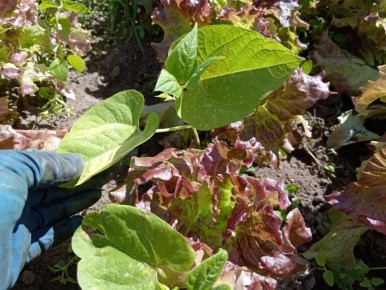 ����� �� ����� ������: ������� �������� ���������� �������