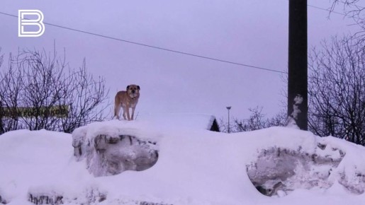 ������� �� �������� ��������� ����� �� ������ �� ����� ��������� ������