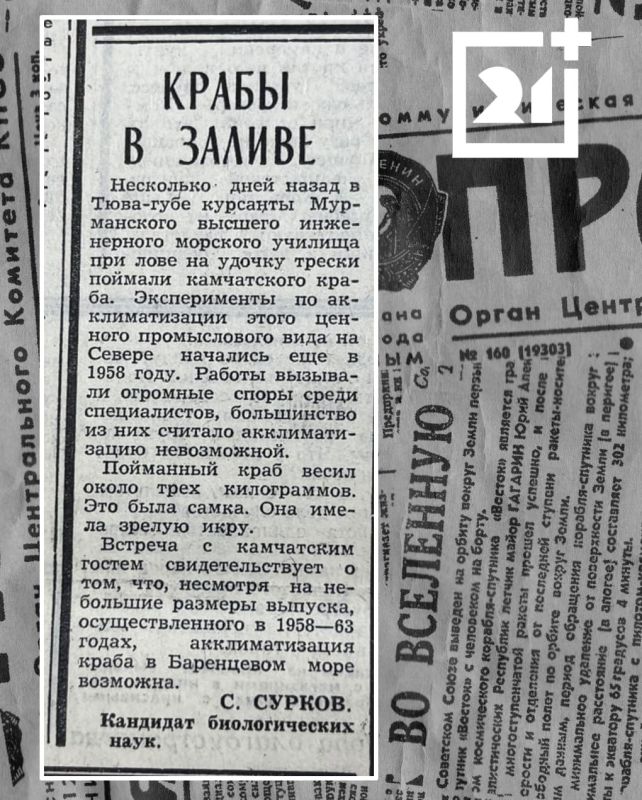 Назад в прошлое: камчатский гость