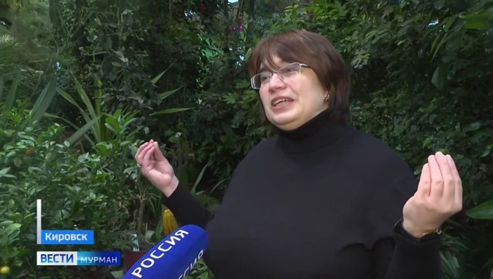 � �������-���������� ������������ ���� � �������� ��������� ������ ���������