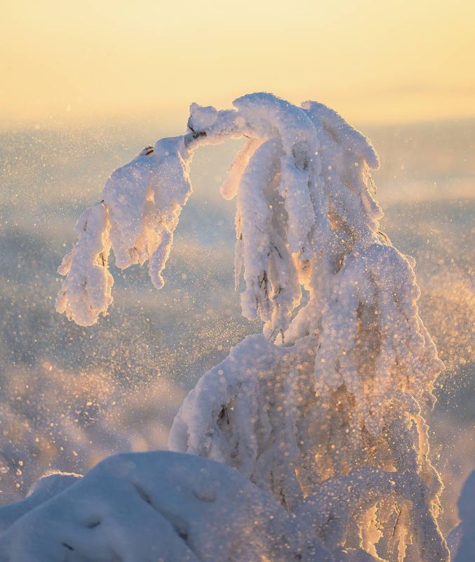 ����� � ������ �� ��������� �����