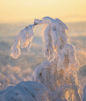 ����� � ������ �� ��������� �����