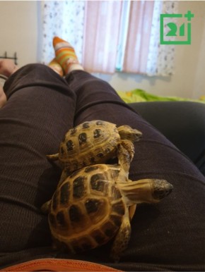 �� ��������� �� ������ ������: � ��������� ���� ����� ������������ �������