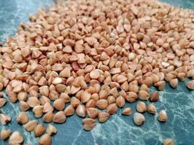 ������ ����: ��� ���������� ������ � ��� ����� ����� �� �������