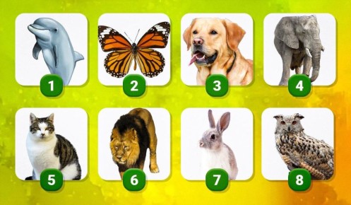 ��������������� ���� � ��������� ��������� �������� ������������ � ����