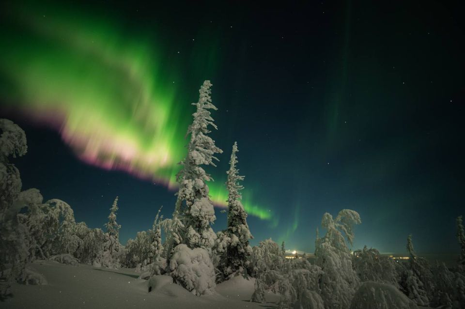 ������ �������� �� ����� ����