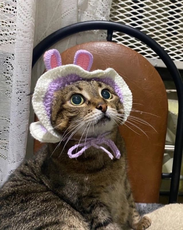 ������ ����, ���������!. � �� �����, ��� � ����� ��������� ����� ������� �� ������ ���������, �� � �������� ���������� � ��� ����� � ���