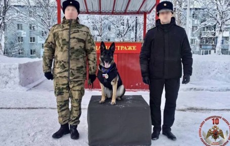 ������������ ����� ����������: ������ ������ ��������� ������� �� ����������� ������ ����������� � ���� ���