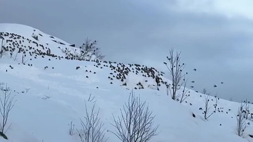 ������ ����, ���������!. � �������� ������� ��������� ������ ������: ����������� � ����� ����� �������, ��� �������, ���� ����� �������