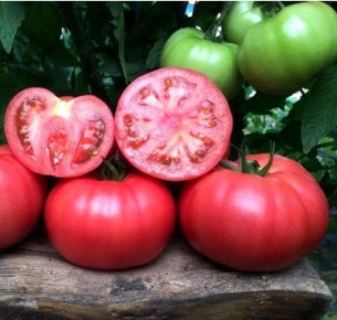 ����� ���� �������: ��� �������� ������ ������� ������ � �������