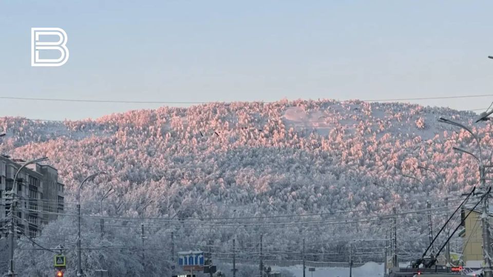 � ���������� ������� ��������� ������