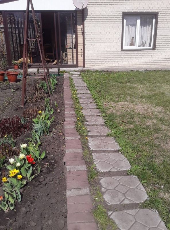 Весенние заботы садоводов: не упустите момент на пути к прекрасному саду