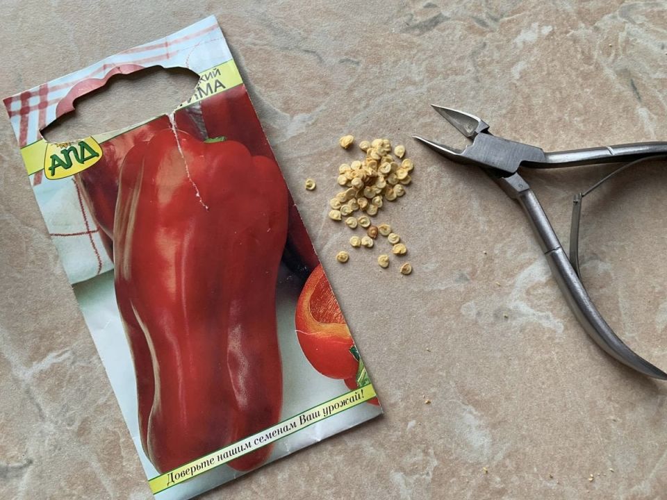 ������ ������� �������� �������� ������ ������: ���������� ����� �� ��������