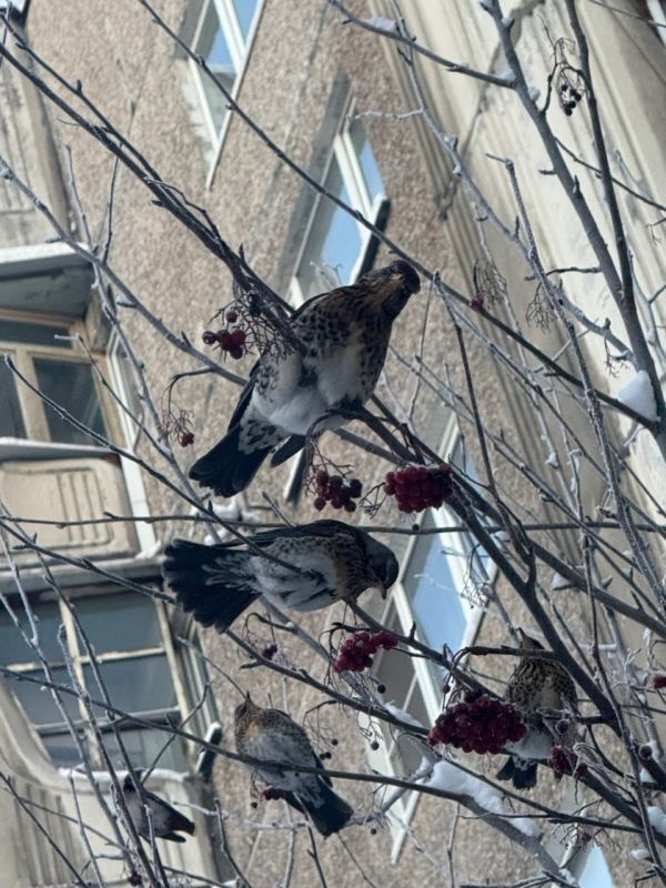 �������� ������� ������ ��� ��������� �����